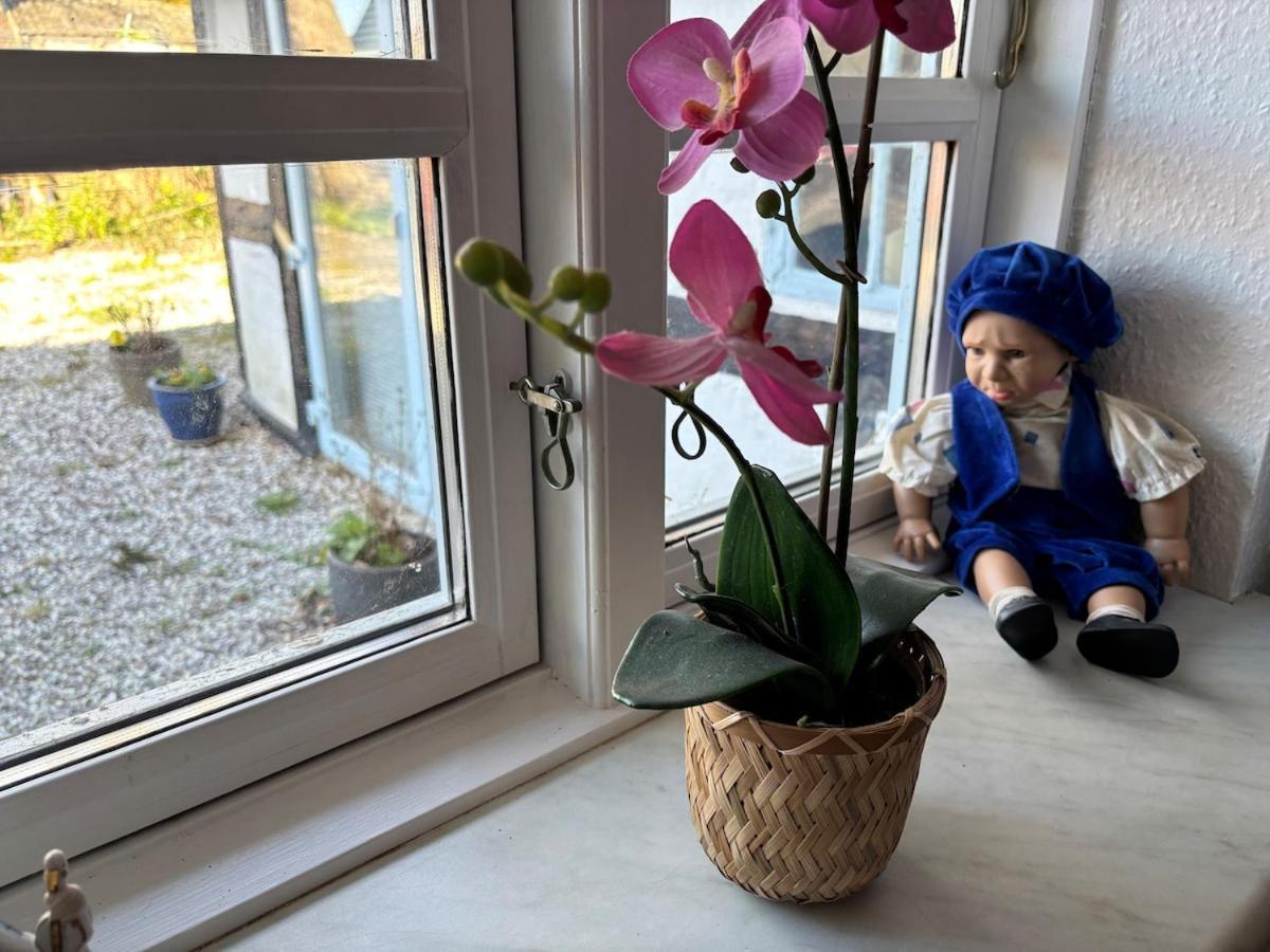Troldehuset Villa Bogense Eksteriør bilde