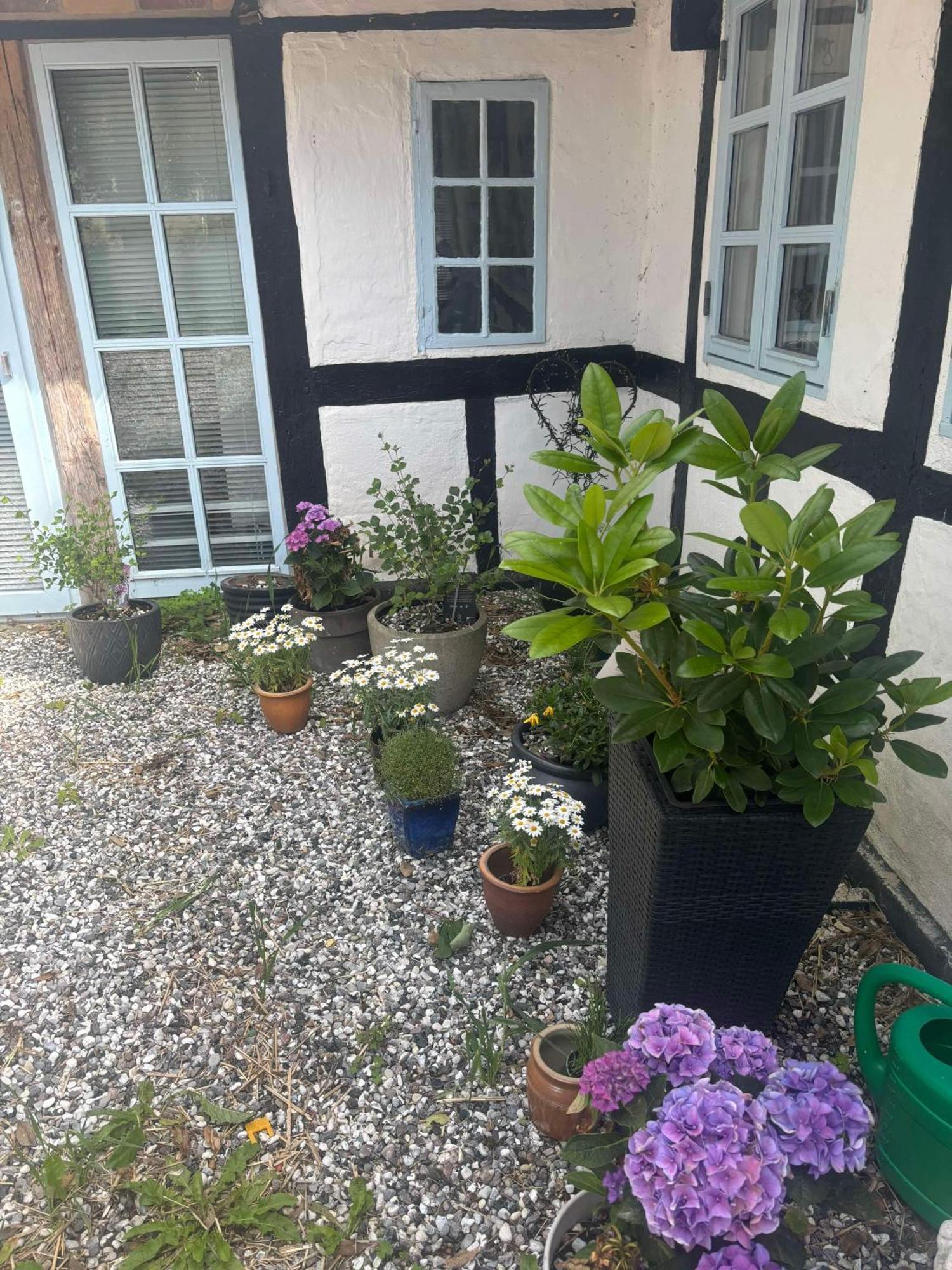 Troldehuset Villa Bogense Eksteriør bilde